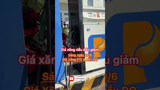 Giá xăng dầu hôm nay ngày 19/6 @PhạmDương994 #tintuc #tinnong #tintuc24h #xangdau #xuhướng #viral