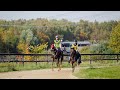 Дистанционные конные пробеги России. Отрада Endurance Cup 2020
