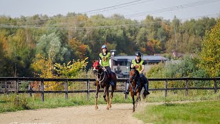 Дистанционные конные пробеги России. Отрада Endurance Cup 2020