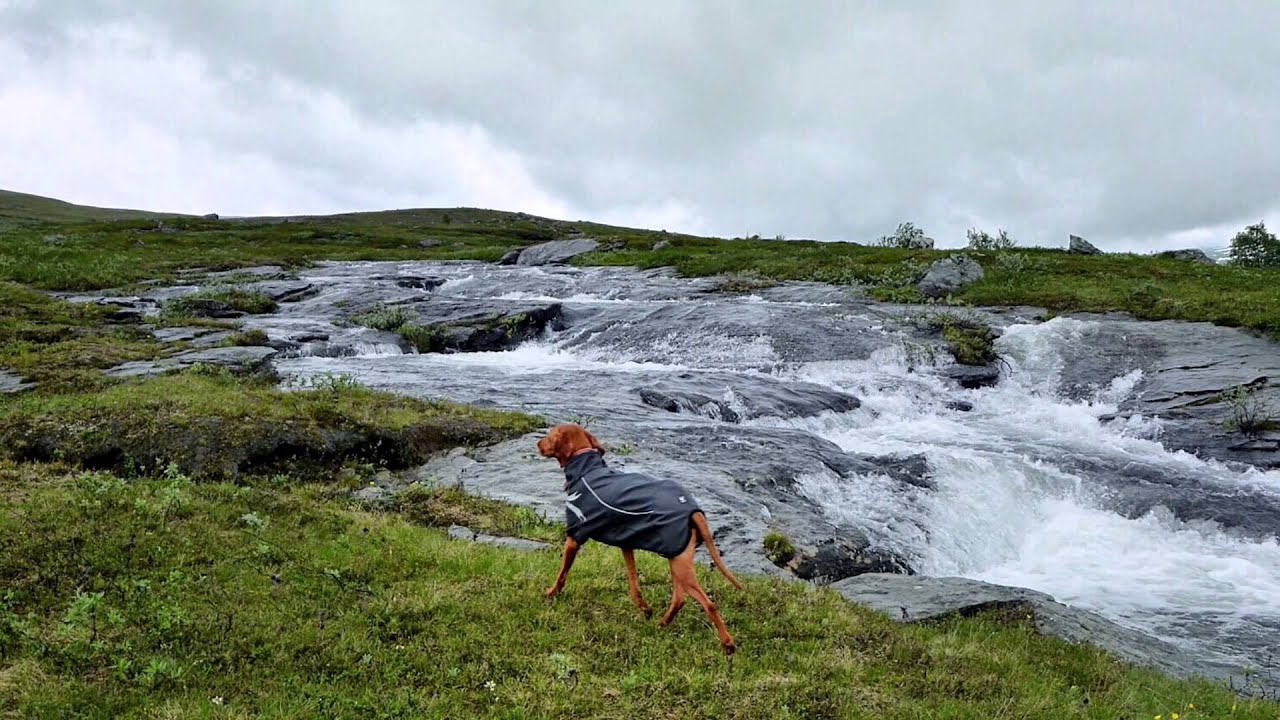 a Lawdog production Where no roads lead YouTube