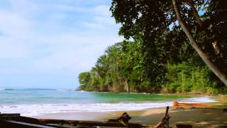 Video thumbnail of "Phlake - Costa rica"