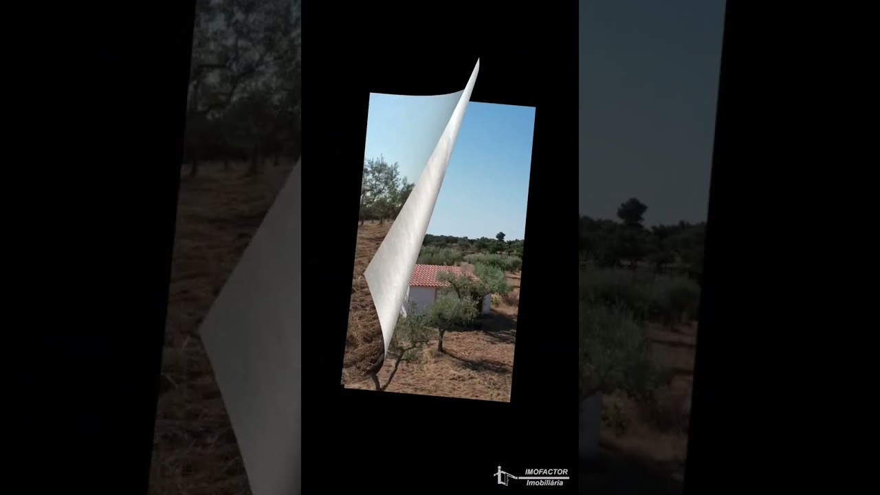 🔆 Farm for Sale Portugal - Outbuilding, Well & Olive Grove - Not available