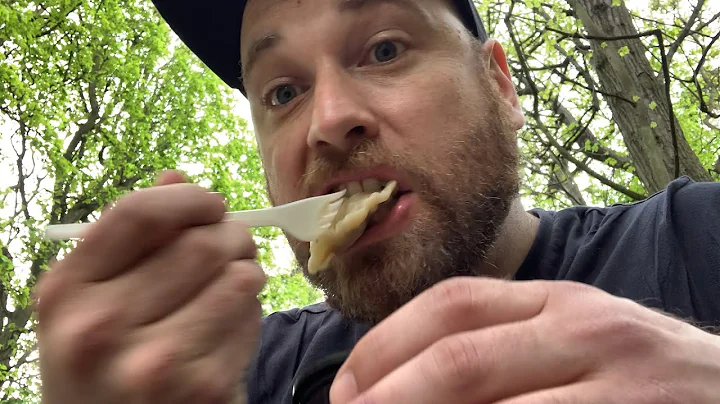 Wild Boar Pierogi from Mandu Pierogarnia (Gdańsk Oliwa)