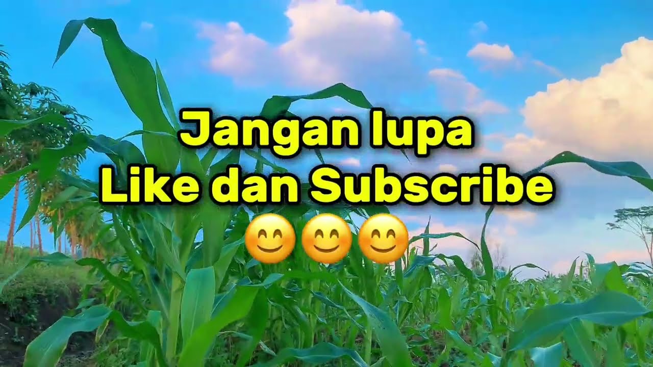 Lagu Nike Ardilla Full Album