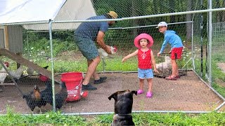 They had to go… update on our 1acre homestead 