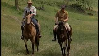 President Reagan During A Working Visit From King Han Ii Of Morocco On May 19, 1982