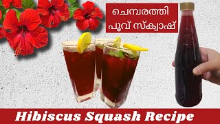 Hibiscus Squash Recipe | ചെമ്പരത്തി  പൂവ് സ്ക്വാഷ് | Squash Recipe | Cool Drink Recipe