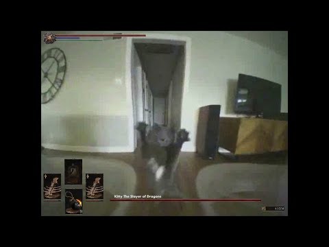 You fool,You just entered the boss room