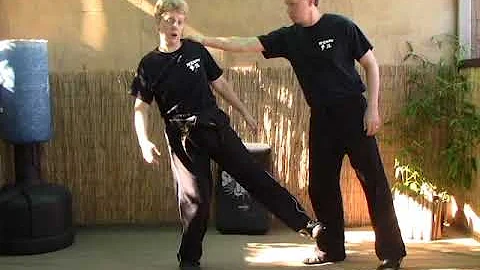 Tracy Kenpo Karate Reaching for the Moon