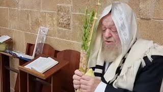 חג הסוכות - הרב יוסף צ. בן פורת