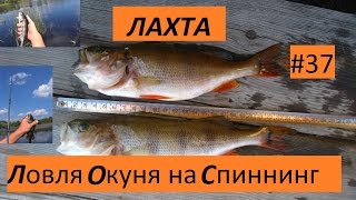 блесны для ловли окуня в озерах блесны для ловли окуня в озерах
