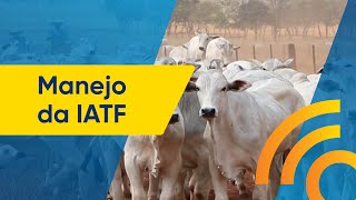 Notícias - “Ourofino em Campo” estreia nas telas do Canal Rural, Canal do  Criador e Lance Rural