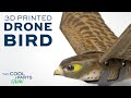 3d printed drone bird flies like a real bird  the cool parts show 66