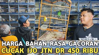 EDAN FREE ONGKIR BURUNG RASA GACORAN | CAK IJO JTN DR 450 RIBU BIMOLI 250 RIBU EMPAT EKOR KIOS SENDI
