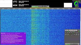 The Buzzer (4625khz) - Live