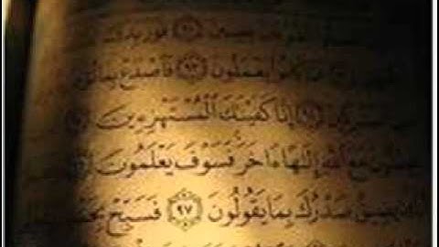 قراءة خيالية - الشيخ محمود خليل القارئ ! استمع