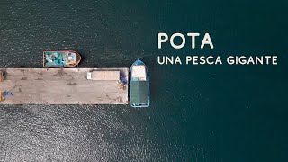 Pota: una pesca gigante