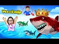 bqThanh Là Vua Cá Mập Khổng Lồ Troll Ốc, Ăn Tất Cả Mọi Thứ Ở Đại Dương ?!