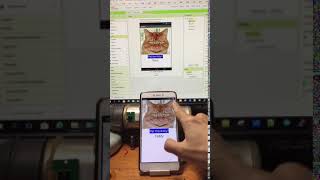 App Inventor Example - Miaow screenshot 4
