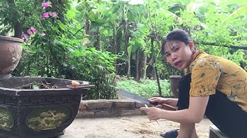 Automorphic Forms and Shimura Varieties Admissions