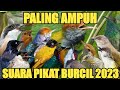 Suara Pikat Burung Jitu Gx Perlu Tunggu Lama Lngsung Dapt Mp3 - Mp4 Download