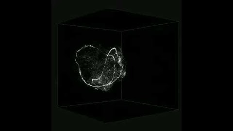 linked vortex rings in water -- 3D