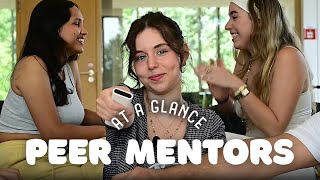 Peer Mentors at a Glance