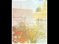 Madina مدینہ Beautiful Naat خوبصورت نعت Dawateislami Ilyasqadri MuhammadShehzad Attariofficial Madina مدینہ Beautiful Naat خوبصورت نعت Dawateislami Ilyasqadri MuhammadShehzad Attariofficial