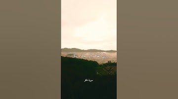 وقال فرعون ذروني اقتل موسى ، سورة غافر القارئ عبيدة موفق _quran _قرآن _سورة_غافر _عبيدة_موفق