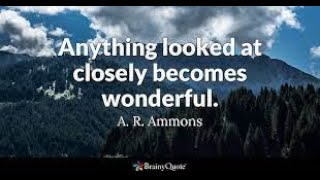 39 Top Quotes By A. R. Ammons on subjects such as silence, experience, opinion, wisdom, life,,etc.