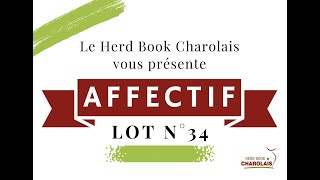 34. AFFECTIF - EARL DE LA MARE AUX IRIS (76)