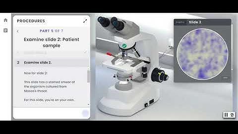 Pearson Interactive Labs | Microscopy for Microbiology