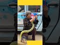 #funny #comedy #pleasesubscribe #memes