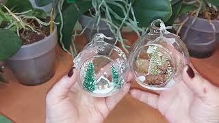 видео: Орхидеи)) Большое пополнение коллекции. Привезла много орхидей.  30.10.2025г. картинка: Орхидеи)) Большое пополнение коллекции. Привезла много орхидей.  30.10.2025г.