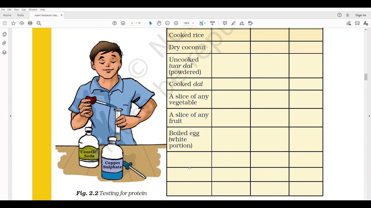 CLASS 6 SCIENCE LESSON 2 Components of Food PART 2 - YouTube