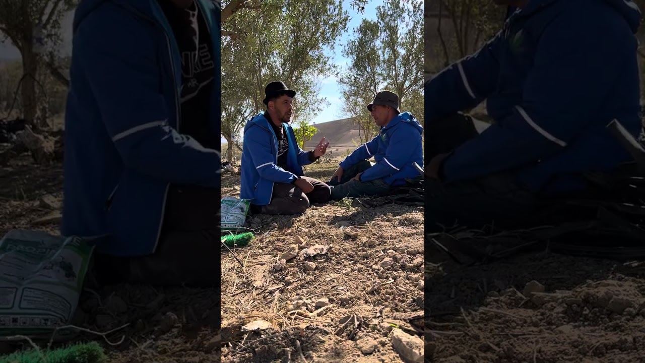 نعنوع دارها بلميلود وقالو لحاج يزعف