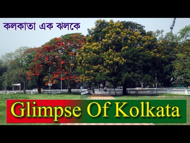 Glimpse of Kolkata - এক ঝলকে সম্পূর্ণ কলকাতা দেখুন - कोलकाता की झलक | Ritu Banerjee
