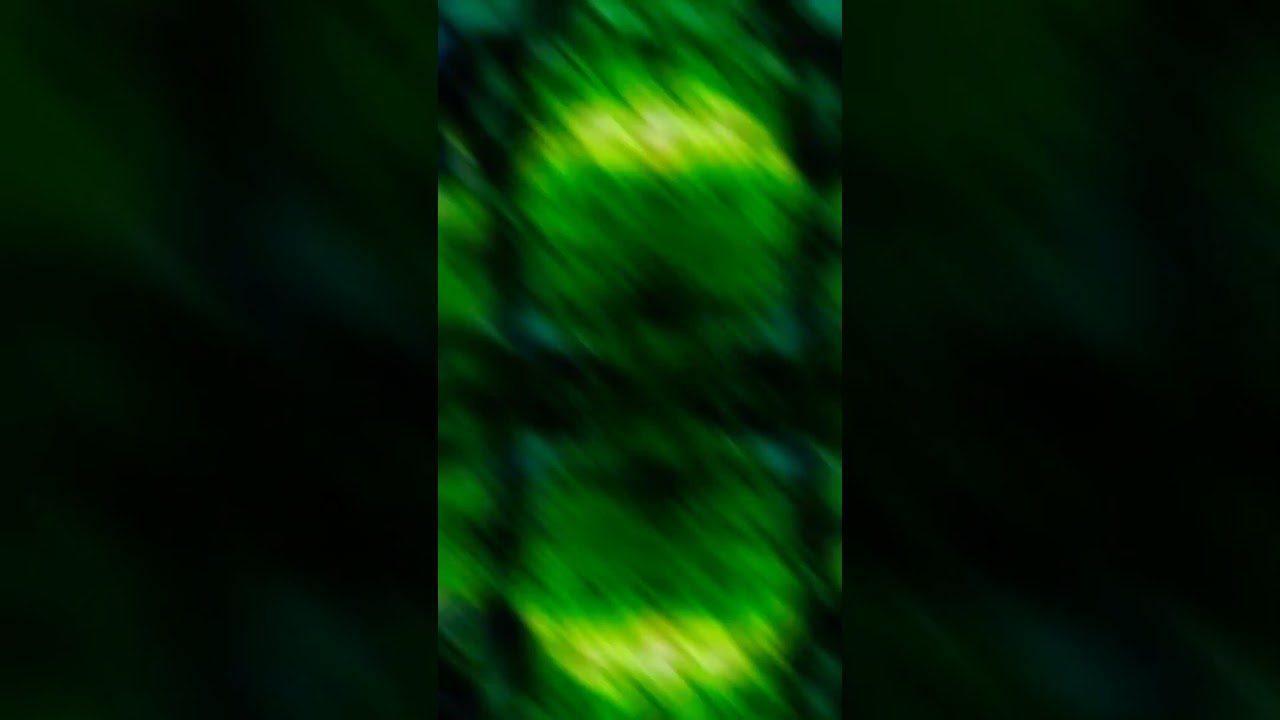 Indian army lover status video 