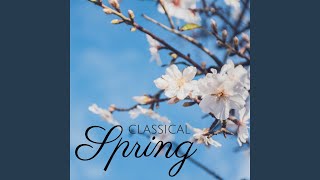 The Four Seasons, Concerto No. 1 in E Major, RV 269 "Spring": I. Allegro