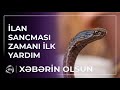 Qızmar yay ayları başlayır - İlan sancması zamanı nə etməliyik? / Xəbərin olsun