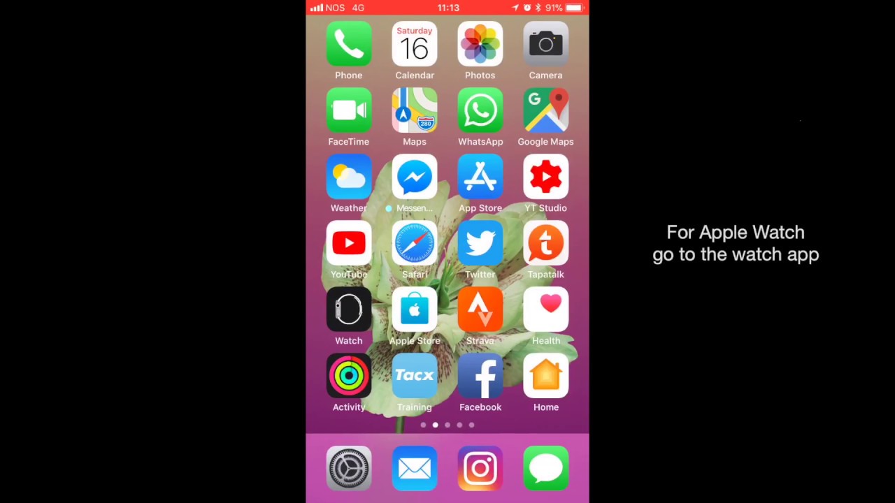 How to install iOS and WatchOS public beta