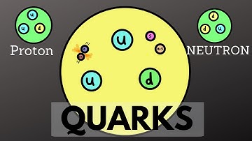 Quarks Explained | The Building Blocks of the Universe | What Quarks Are | Fundamental particles