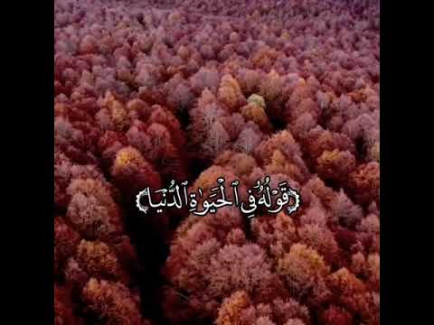 ويشهد الله على ما فى قلبه وهو الد الخصام