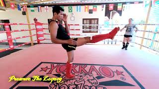 The Muay Thai Teep - Slow Motion Study of Kru Manop (Chiang Mai)