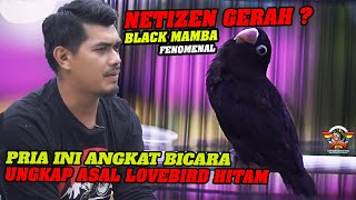 NETIZEN GERAH ? PRIA INI ANGKAT BICARA ! UNGKAP ASAL LOVEBIRD HITAM FENOMENAL || BLACK MAMBA