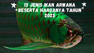 13 Jenis Ikan Arwana Beserta Harganya Tahun 2023