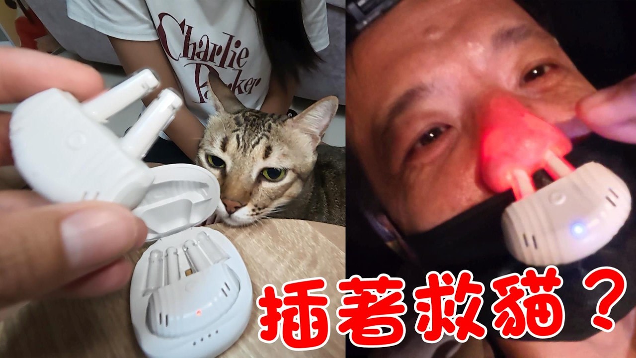 戴著舒鼻通去救貓的男人 ft.舒鼻通 brizzz 縮圖