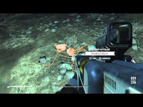 Fallout 4: Funny Bloodbug Body Glitch