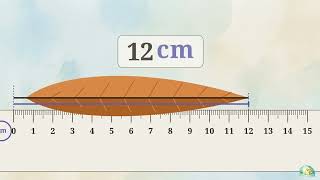 Measuring Length with Tools - 2.MD.A.1