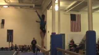 Gymnastics 2 4 15 vs Farmington